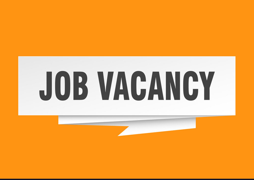 Job Vector Vacancy - Job Vacancy Logo Png, Transparent Png - vhv