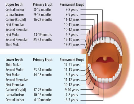 Kids dentist in Gandhinagar